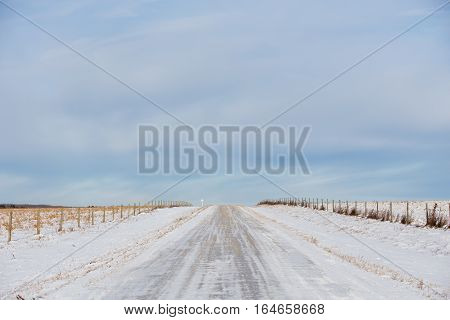 A gravel road dividing fenced pasture land in a desolate rural countryside winter landscape