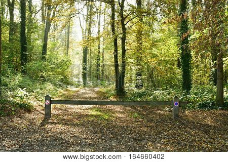 Verneuil sur Seine; France - october 30 2016 : the forest in the west of the city