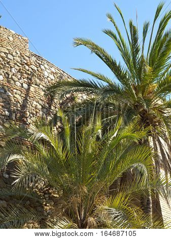 the  big Castle of malage in spain