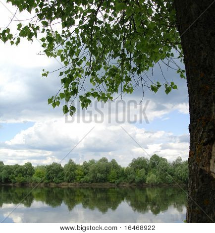 绿色的树叶和河和云树