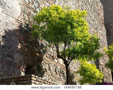 the  big Castle of malage in spain