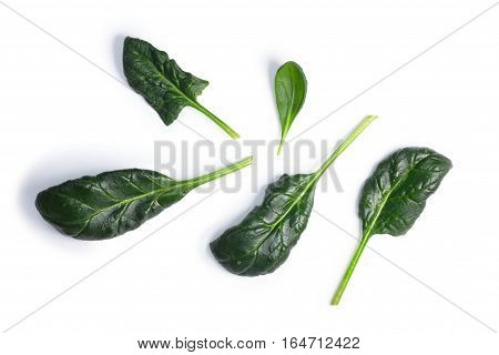 Spinach (spinacia Oleracea) Leaves, Top View, Paths