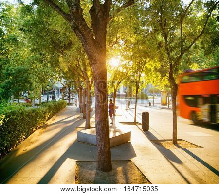 Street Of Madrid In Rays Of Evening Sun. Spain