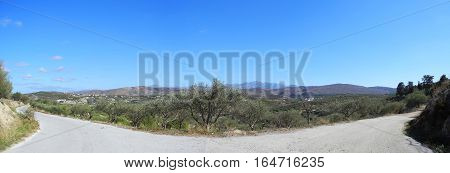 island of Crete high mountains panorama trees olives