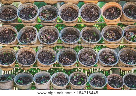 Empty pots of tree plantation hanging on old shelf during sunny day