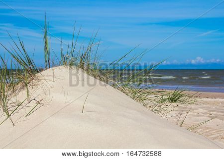 sand dunes at the Baltic sea in Kolka Latvia