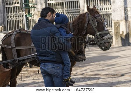Tehran IRAN - January 6 2017 Little Boy Watching Traditional Old-fashioned Fiacre Horse From Close Viewpoint Beside of His Father at Tehran Street.