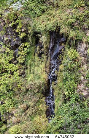 Risco Waterfall of the Twenty-five Fountains Levada hiking trail Madeira Portugal