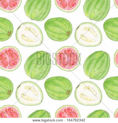 Guava or guayaba. Seamless pattern with hand-drawn tropical fruit - psidium on the white background. Real watercolor illustration