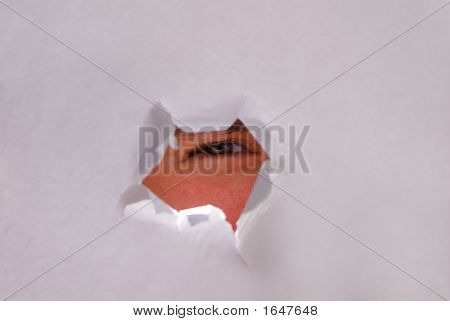 auf der Suche Auge