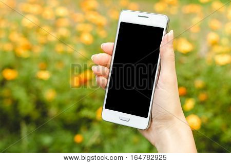 close up white mobile phone in fashionable trendy woman hands on the background of green grass with flowers during an exercise break