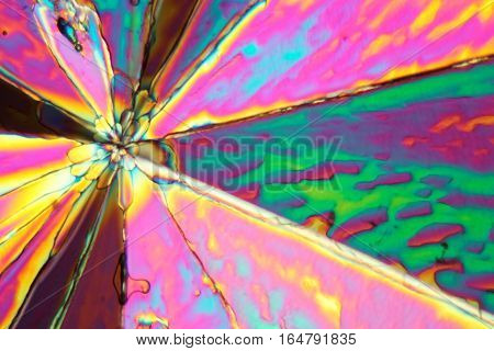 Xylitol crystals under the microscope and in polarized light. Xylitol is a sugar alcohol and used as sweetener.