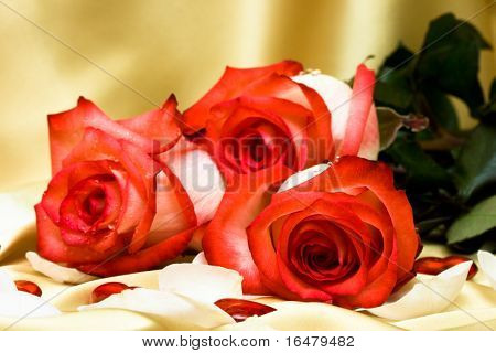 red roses on satin with hearts