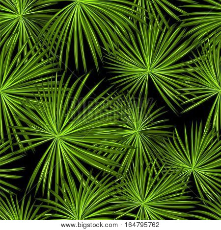 Talipot. Seamless tropical pattern of Palm branch and leaves. Vector illustration