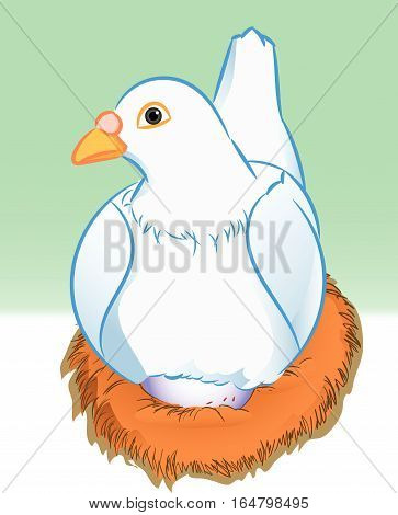 Cartoon pigeon with egg in nest - Vector Illustration