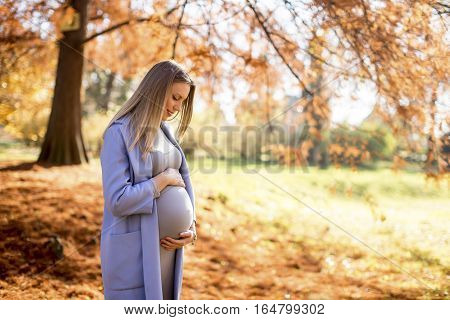 Beautiful Pregnant Woman Outdoors