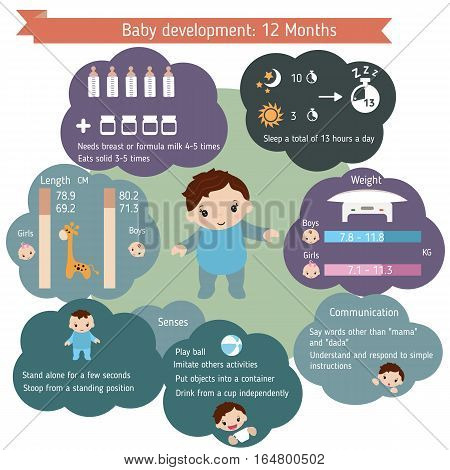 Child development infographics. Baby Growth Guide. Age age 1 year.