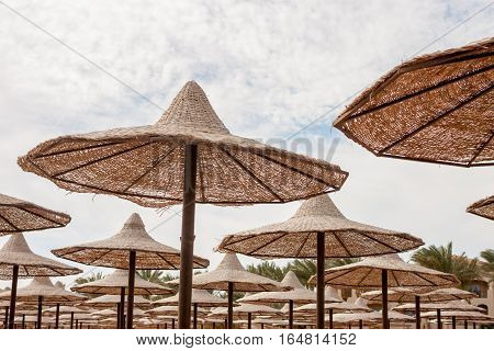 group of straw beach umrellas on the Red sea