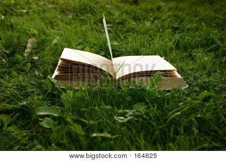 Kniha o Grassh