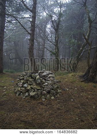 well, water, forest, old, stone, stone draw well, old well, mysterious, horizontal, inspiring, made of rocks, stone well, spooky, draw well, full frame, secret, past, in forest, forsaken, old draw well, abandoned, ancient, made of stone