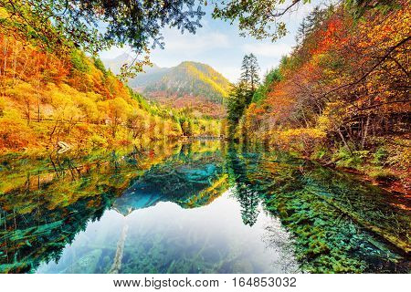 Wonderful View Of The Five Flower Lake Among Fall Woods