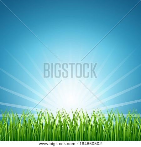 Abstract vector rising sun over green grass background. Nature meadow in light sunny illustration