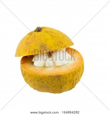 Sentul yellow isolated on a white background.