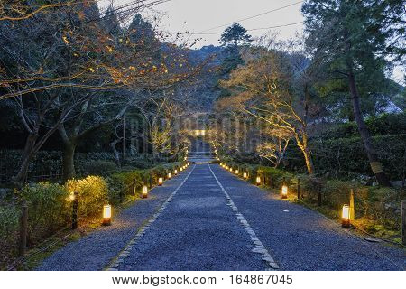 The Beautiful Nison In At Night