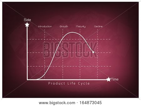 Business and Marketing Concepts 4 Stage of Product Life Cycle Chart on Chalkboard.