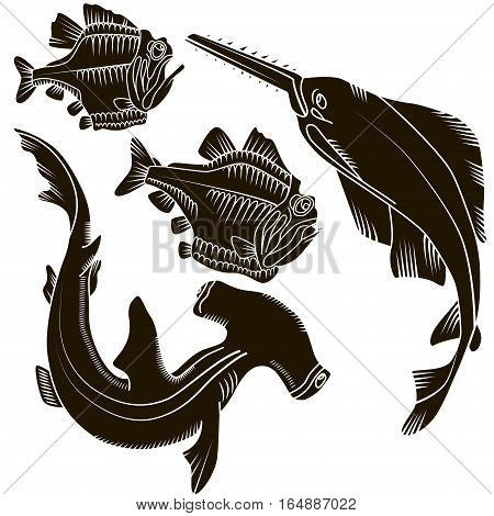 Set of black design elements isolated sharks and fish piranha on white background. This image is a vector illustration.