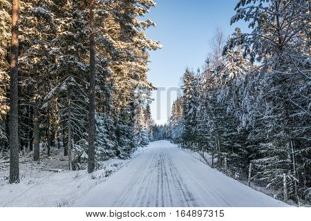 View of a slippery winter road on the Swedish country side snow and ice hanging from the trees. Sun is shining.