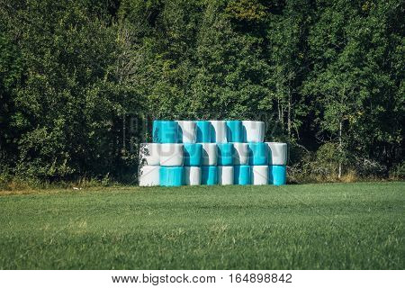 Newly harvested large bales of hay ensilage in white and blue plastic wrapping.