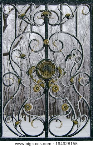 fragment of park fence powdered with frost