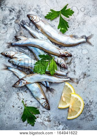 Fresh Catch Shishamo Fish Fully Eggs Flat Lay On Shabby Metal Background. Shishamo Fish Is Popular F