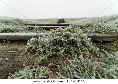 In the 20th century seabed areas were reclaimed from the sea and became the Noordoostpolder