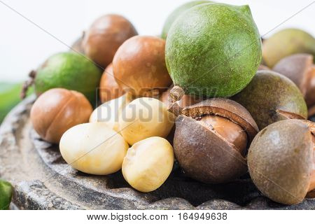 Macadamia in shell nuts harvest close up