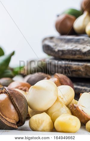 Macadamia in shell nuts harvest close up