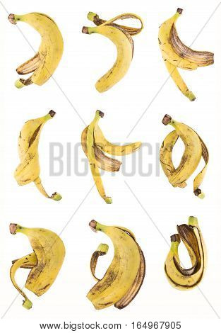 Banana Peel Set