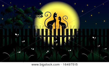 katten at night - Valentijnsdag vectorillustratie