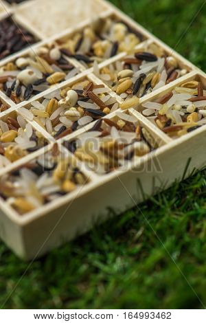 Variety of healthy grains and seeds in a wooden box mostly gluten free with rice, Sensitive Focus
