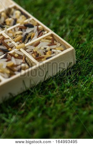 Variety of healthy grains and seeds in a wooden box mostly gluten free with rice, Sensitive Focus