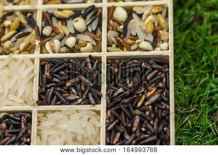 Variety of healthy grains and seeds in a wooden box mostly gluten free with rice, Sensitive Focus