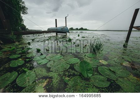 Boat Village. Water lilies and lily on the water