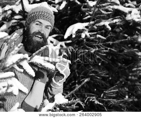 Man With Hat, Scarf And Glove. Guy With Happy Face
