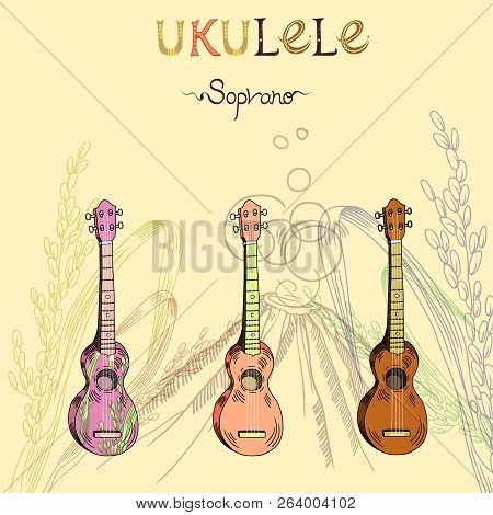 Vector Illustration With Traditional Hawaiian Guitar Ukulele Soprano In Three Different Versions: Wo