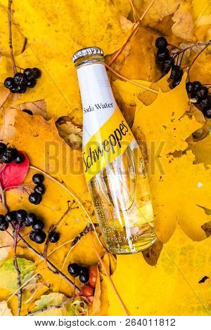 Saint-petersburg, Russia, 17102018 Drink Schweppes In A Glass Bottle On Autumn Yellow Green Foliage 