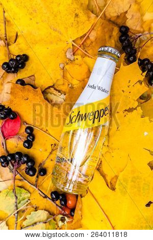 Saint-petersburg, Russia, 17102018 Drink Schweppes In A Glass Bottle On Autumn Yellow Green Foliage 