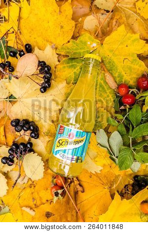 Saint-petersburg, Russia, 17102018 Drink Schweppes In A Glass Bottle On Autumn Yellow Green Foliage 