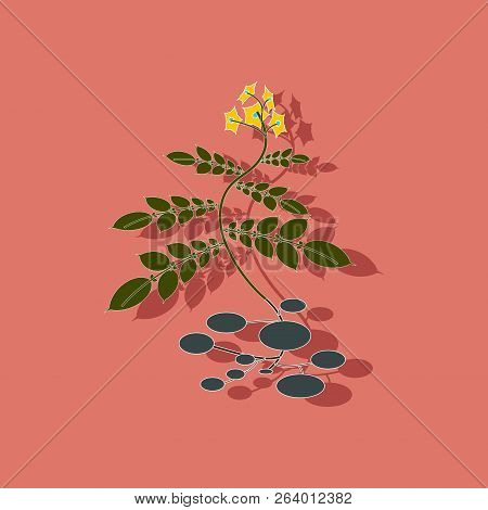 Paper Sticker On Stylish Background Plant Solanum