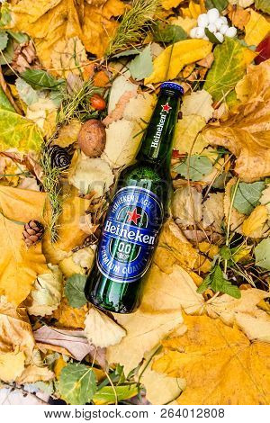 Saint-petersburg, Russia, 17102018 Beer Heineken In A Glass Bottle On Autumn Yellow Green Foliage Of